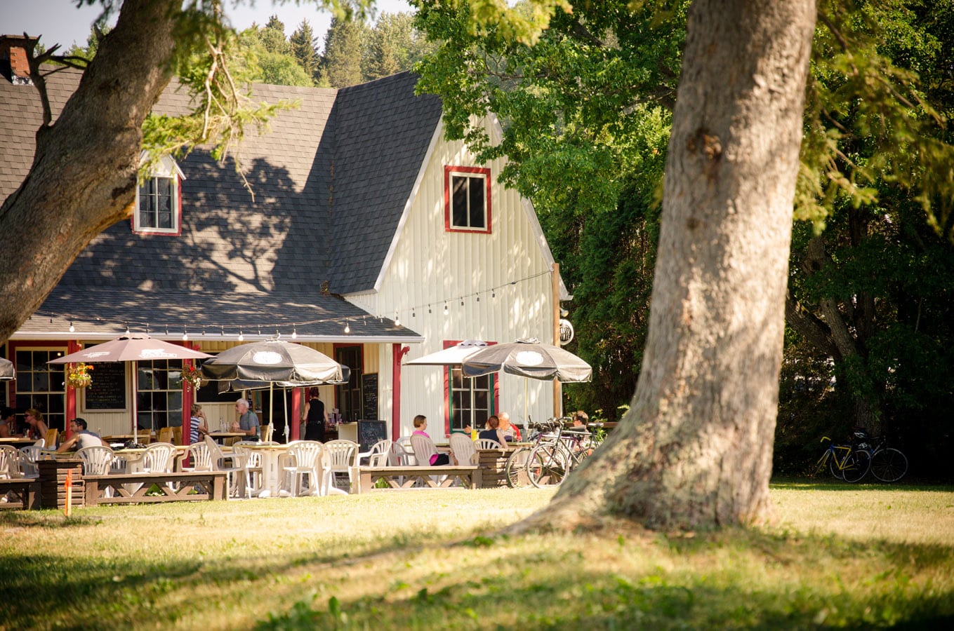Brasserie coopérative la Chasse-Pinte