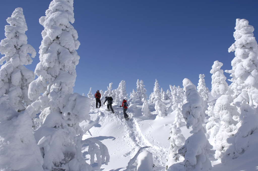 Parc national des Monts-Valin